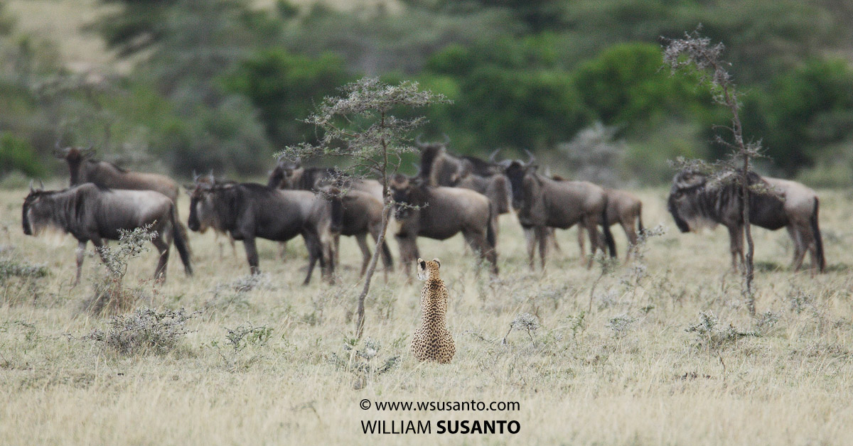 Brunch + Dinner Passing By