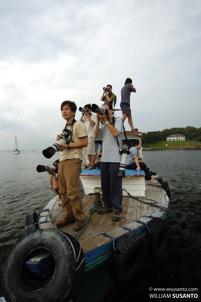 Avian Watch Asia