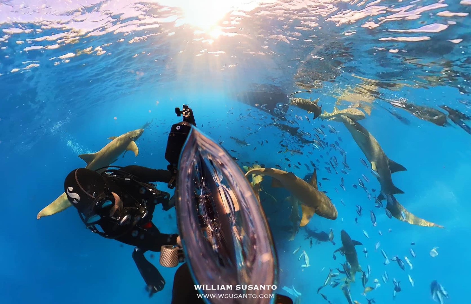 Selfie with nurse sharks